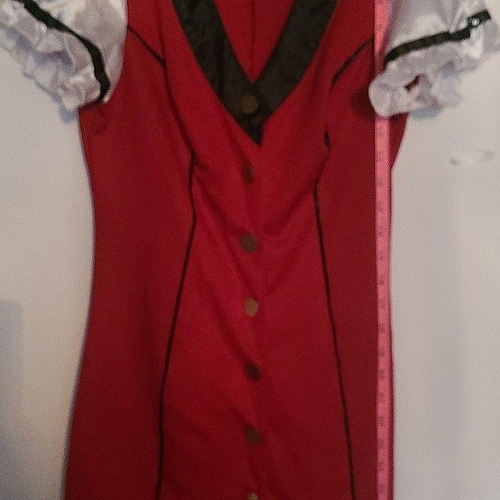 Dreamgirl costume